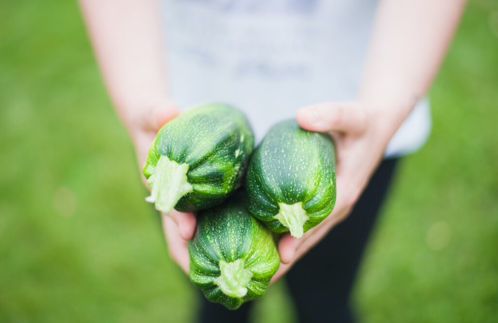 Fresh, vibrant zucchini showcased in a visually captivating, high-resolution image, highlighting their tender texture and rich green color.