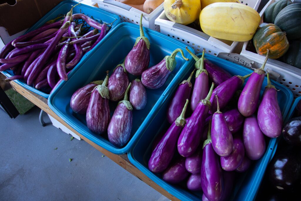 Glossy, purple eggplants captured in a visually striking, high-resolution photograph, emphasizing their unique shape and vibrant color.