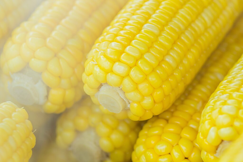 Golden, juicy corn kernels bursting with sweetness, showcased in a captivating, high-quality image.