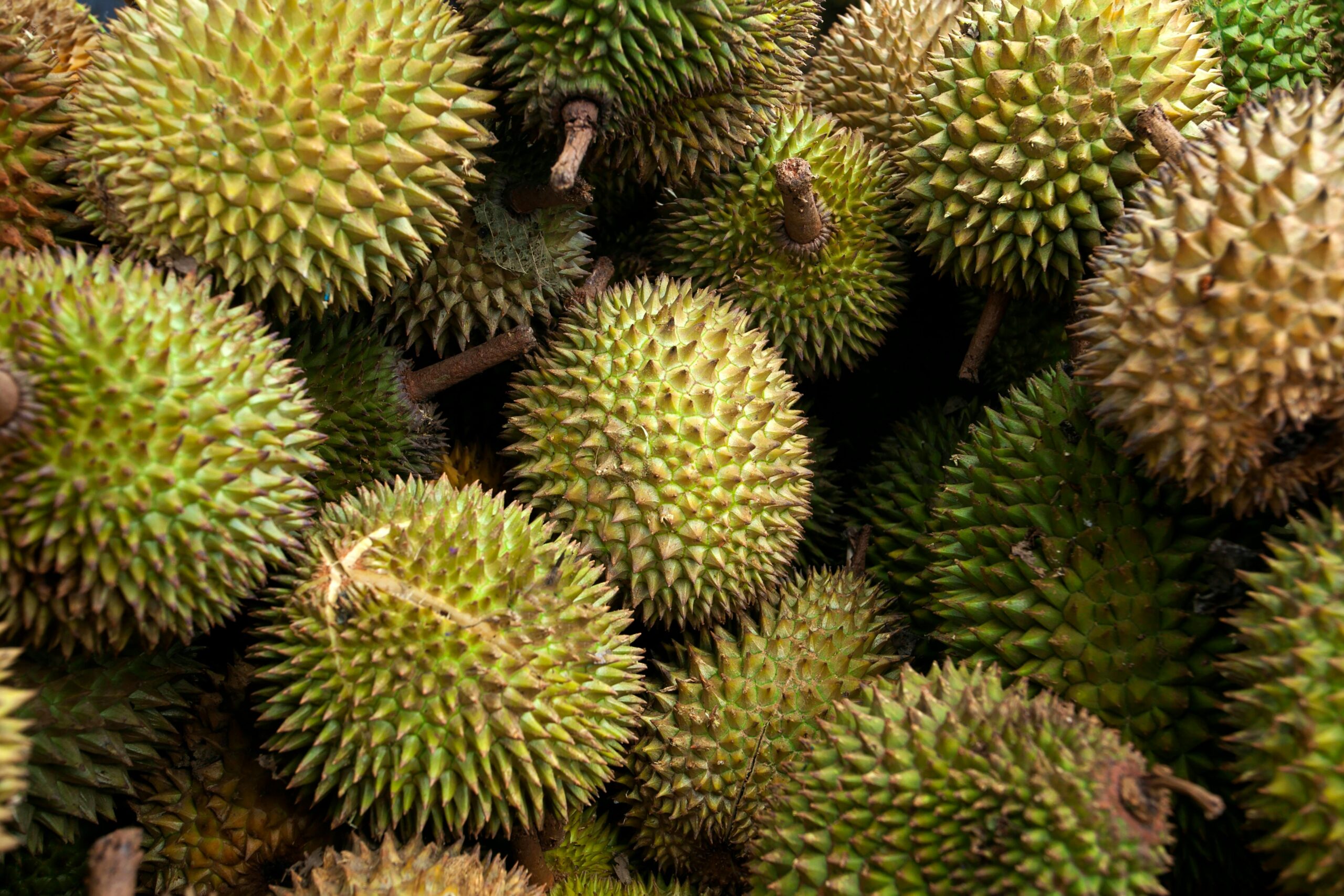 What is Durian Fruit? | 5 Reasons Why is Durian Fruit is Banned?